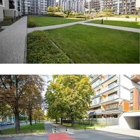 First - Zoliborz 6 *