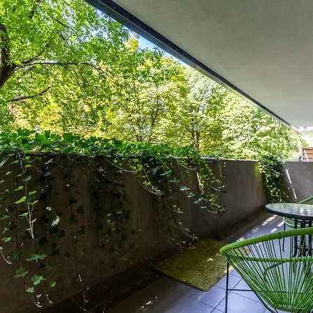 First - Zoliborz 6 *